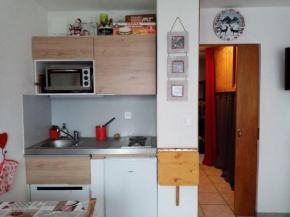 Studio cosy 4 pers, RDC, Sud, à 300m des pistes et 250m commerces, bien équipé, animaux admis. - FR-1-733-116
